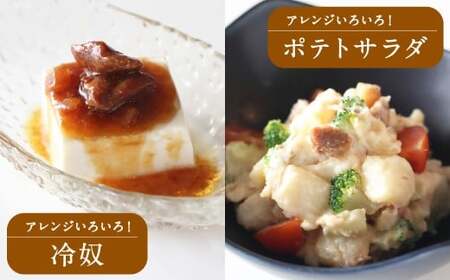 【常温】地どりめしの素 10個（20合）計20合分  鶏肉 鶏飯 混ぜご飯 はかた地どり ご飯 混ぜるだけ 簡単 時短 ごぼう 小分け レトルト