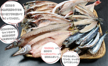 干物 銚子地魚セット「ほぎほぎ」 魚種おまかせ 約20枚 干物