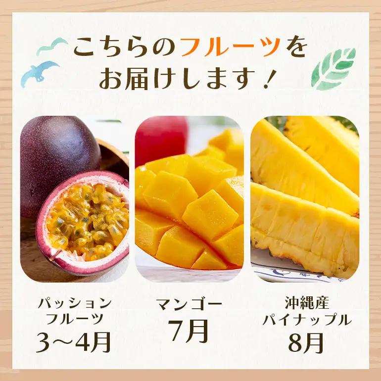 フルーツ 定期便 全 3回 名護パイン園 178-5