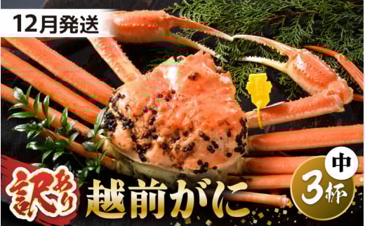 【先行予約】【訳あり】 茹で「越前ズワイ蟹」 中 3杯 脚折れ 【2025年12月発送分】【わけあり ワケアリ カニ かに 蟹 越前ガニ 越前蟹 ずわいがに ズワイガニ ズワイ ボイルガニ 姿 ボイル 冬の味覚 冷蔵 国産 県産】 [O-1402_12]