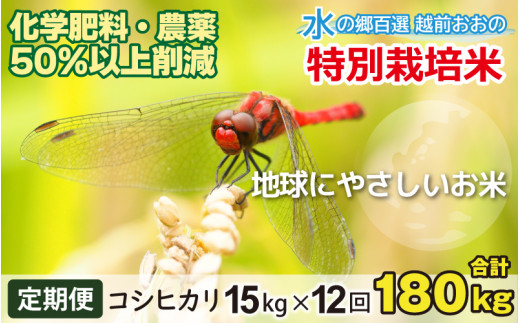 【令和7年産】【12ヶ月定期便】こしひかり 15kg × 12回 計 180kg【白米】減農薬・減化学肥料 「特別栽培米」