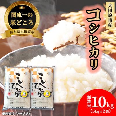 ふるさと納税 大田原市 【令和7年産 数量限定】栃木県大田原市産 藤田farmのコシヒカリ 無洗米 10kg(5kg×2袋)