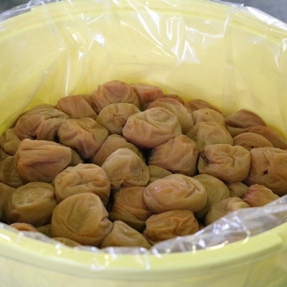  【贈答用】紀州南高梅 こんぶ風味梅干 400g 化粧箱入 【US20】