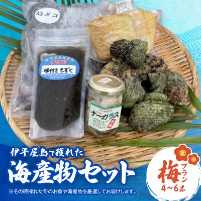 ふるさと納税 伊平屋村 伊平屋島で獲れた海産物セット 梅プラン(4〜6品)