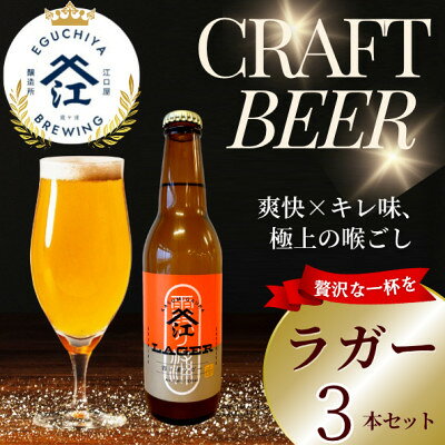 【ふるさと納税】クラフトビール ラガー 計990ml 3本セット【配送不可地域：離島】【1651427】