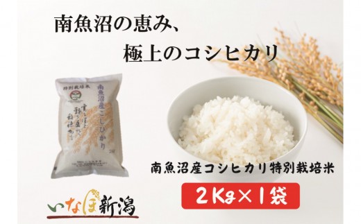 【令和7年産米】南魚沼産コシヒカリ特別栽培米 白米 2kg【銘柄米 ブランド米 精米 こしひかり コシヒカリ 魚沼産 新潟米 産地直送 お米 米 こめ コメ ご飯 御飯 ごはん】