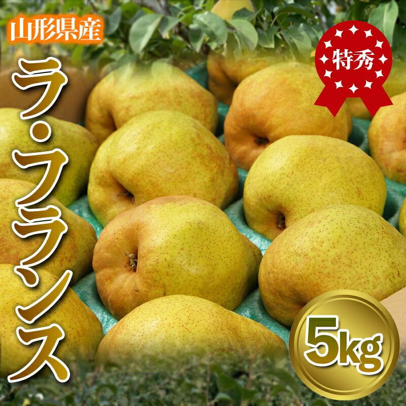 【ふるさと納税】★食べ頃出荷★山形県産 「ラ・フランス」 特秀品 5kg (12〜20玉) 洋梨 ラフランス 山形【令和8年産先行予約】FS24-819