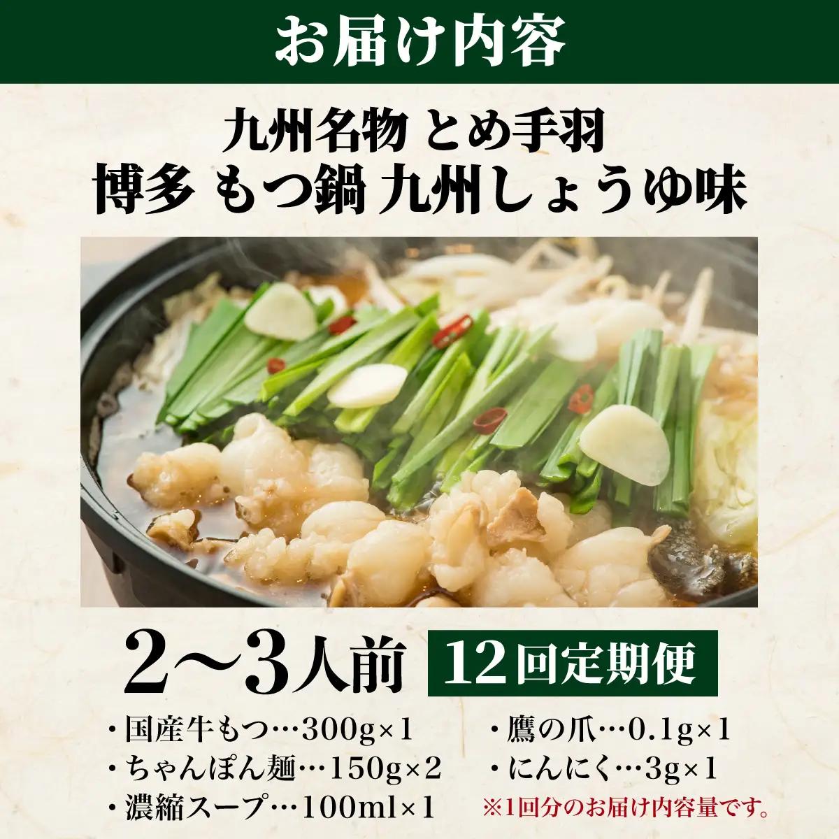 ＜定期便・全12回＞九州名物 とめ手羽 博多 もつ鍋 セット 九州しょうゆ味 2-3人前
