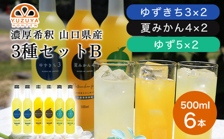 柑橘 ジュース 濃厚希釈 山口県産 3種セットB 500ml×6本 セット /夏みかん 柚子 ゆずきち