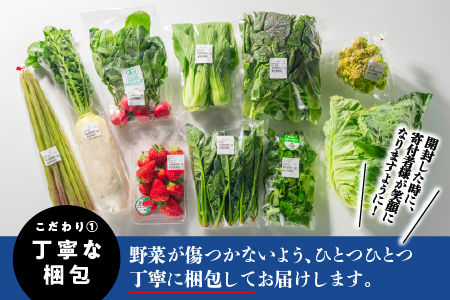 【期間限定】新鮮・愛情たっぷり果物＆野菜セット 6～12品目【野菜 果物 野菜セット フルーツ 旬  新鮮 詰め合わせ 採れたて 厳選 産地直送】SP-1