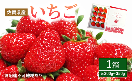 いちご 佐賀県産 果物 フルーツ いちご【約300〜350g 1箱】【先行予約】