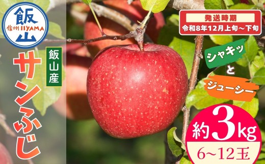 【先行予約丨2026年12月上旬より順次発送】サンふじ【約3kg(6〜12玉)】丨長野県 飯山市 サンふじ 果物 デザート おやつ おすすめ ランキング おいしい 高評価 大人気 先取り 産地直送 りんご (At-030)