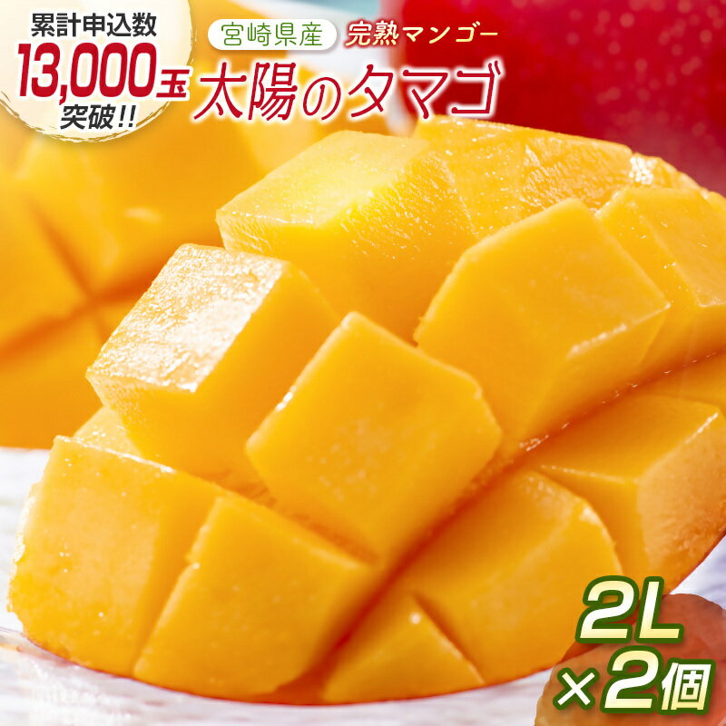 【ふるさと納税】宮崎県産 完熟マンゴー『太陽のタマゴ』2L×2個 西都市特産品【数量限定】 西都市産＜2-76＞人気 さいと サイト ふるさと 先行予約＜2-76＞ 果物 フルーツ
