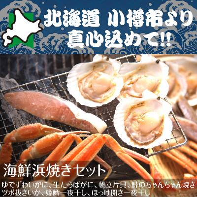 ふるさと納税 小樽市 北海道 小樽発　海鮮浜焼きセット　O(0080275)