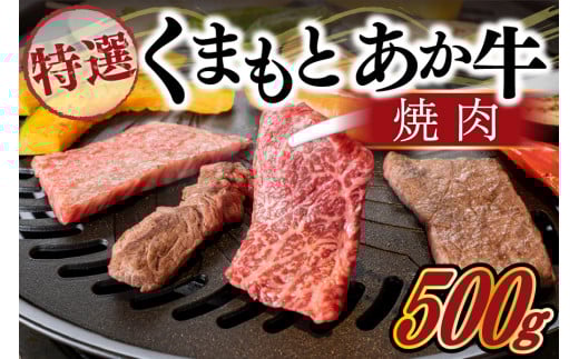 【熊本県産】GI認証取得 くまもとあか牛（特選・焼肉用500g） 熊本県産 くまもとあか牛 特選 焼肉用 500g 国産牛 あか牛 赤身 霜降り 牛肉 牛 国産 肉 焼肉 バーベキュー BBQ 阿蘇牧場 熊本 南小国町 送料無料