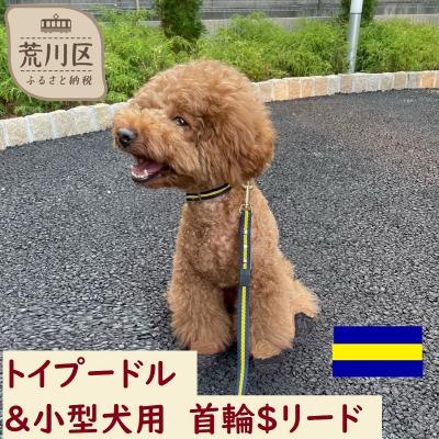 ふるさと納税 荒川区 トイプードル及び小型犬用カラー(首輪)&amp;リード(カラー:紺・黄・紺)【001-015】