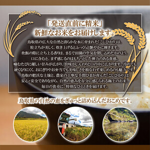 1804.令和7年産　こしひかり　5kg