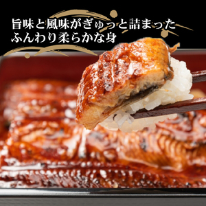 うなぎ蒲焼き 2尾 定期便 6回 うなぎ BE013