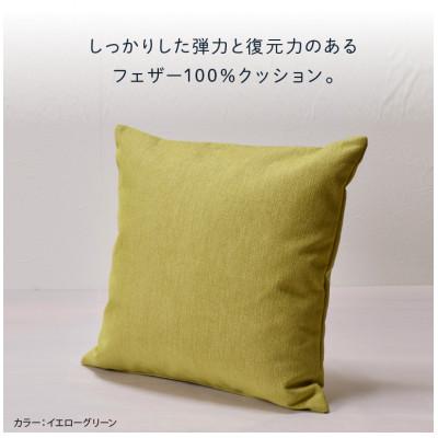 ふるさと納税 石狩市 blocco フェザー100% クッション(55cm×55cm)32-5050 イエローグリーン |  | 02