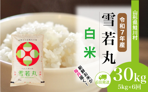 ＜令和7年産米＞ 令和7年11月下旬より配送開始 雪若丸【白米】30kg定期便 (5kg×6回)　鮭川村