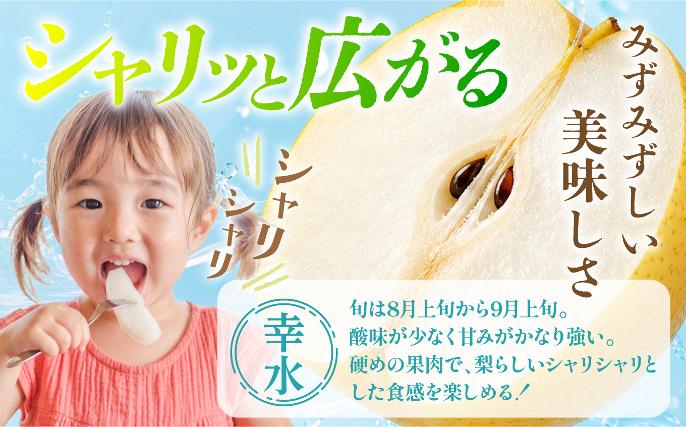 【先行予約】福島県いわき市産 梨(幸水) 約5kg | 梨 幸水 いわき市産 長谷川梨園 約5kg 先行予約 期間限定 果物 フルーツ 和梨 国産 新鮮 産地直送 甘い ジューシー 瑞々しい シャキシ