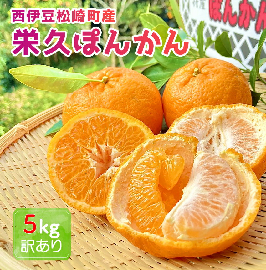 【ふるさと納税】2025年2月上旬～中旬発送予定 栄久 ぽんかん 5kg