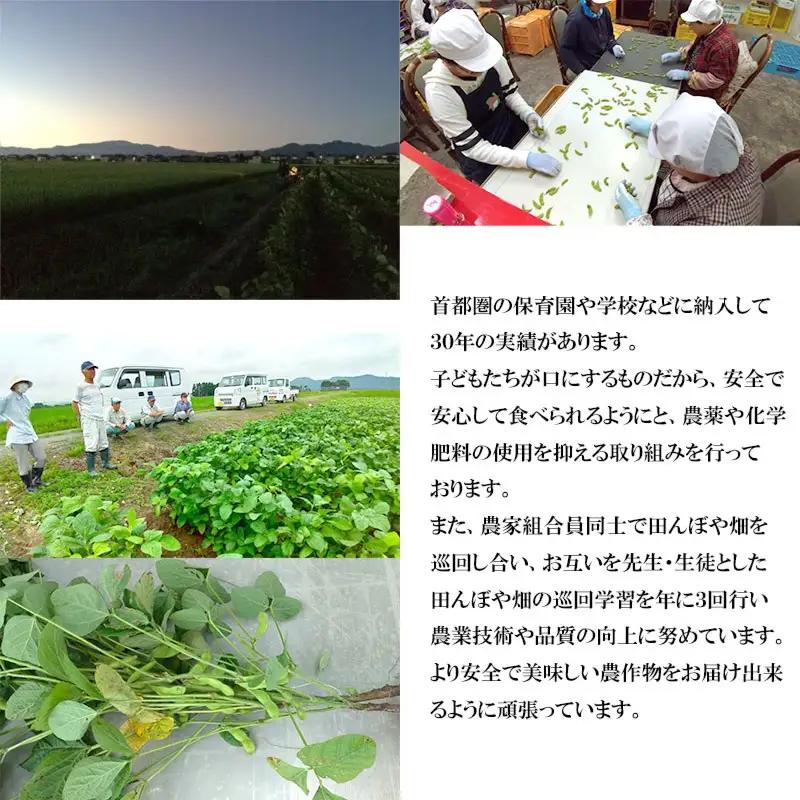 【令和8年産先行予約】山形県鶴岡特産　だだちゃ豆 1.6kg（200g×8袋）レンジ調理対応袋入　庄内産直センター　| 枝豆 豆 まめ マメ 野菜 産地直送 期間限定 夏野菜 旬 おつまみ ビール 香