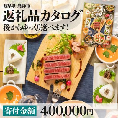 ふるさと納税 飛騨市 後からゆっくり返礼品を選べる♪ 　飛騨市 ふるさと納税 返礼品 カタログ 寄付金額40万円