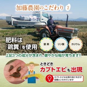 SC0674　【令和8年産 新米予約】［玄米］特別栽培米 雪若丸　10kg(5kg×2袋) 「農家直送」 KA 