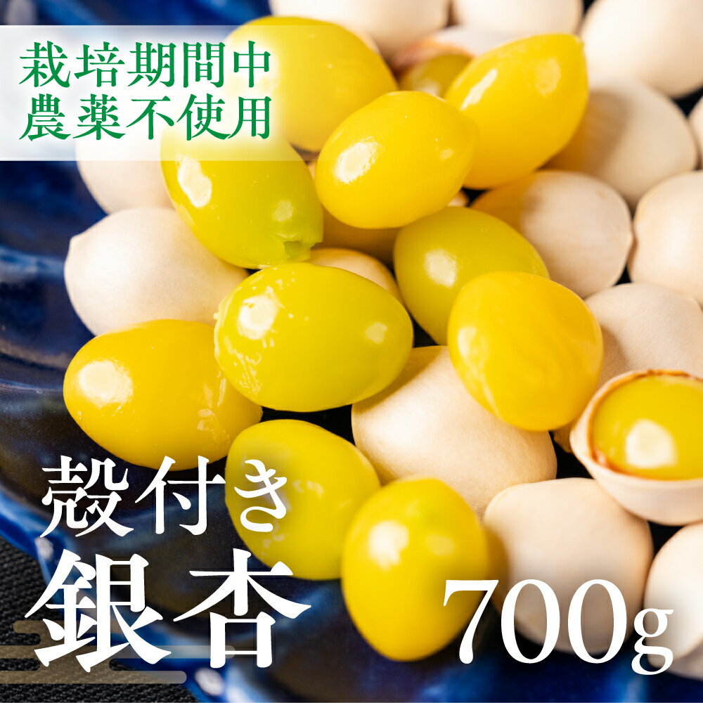 【ふるさと納税】【2026年秋先行予約受付中】銀杏 700g ぎんなん イチョウ いちょう 殻付き銀杏 殻付き 国産 おつまみ 秋の味覚 栽培期間中農薬不使用 保管 常温 保存 電子レンジ レンジ レンチン 茶碗蒸し ポスト投函 ネコポス 産地直送 産直 7000円 7千円 岐阜県 大垣市