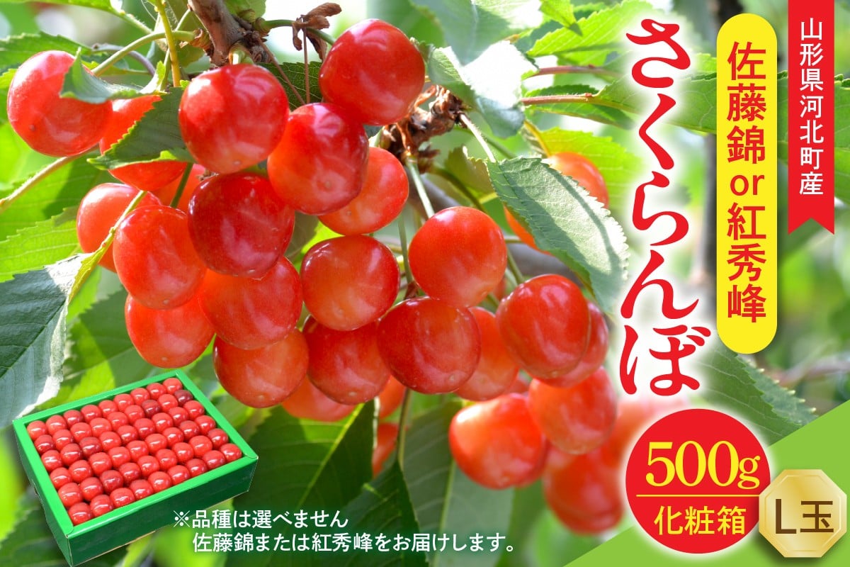 
            【令和8年産】さくらんぼ 佐藤錦or紅秀峰 500g L玉 手詰め 特秀品 化粧箱入 山形県河北町産 【山形eLab】フルーツ 人気 贈答 ふるさと納税 河北町 2026年産 品種おまかせ ka074-037
          