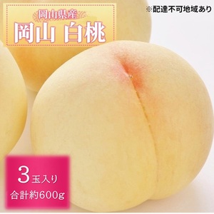 先行予約 晴れの国 岡山のフルーツ 定期便 3回コース 1回目岡山 白桃3玉 合計約600g／2回目桃太郎ぶどう 1房約500g／3回目シャインマスカット 1房約500g