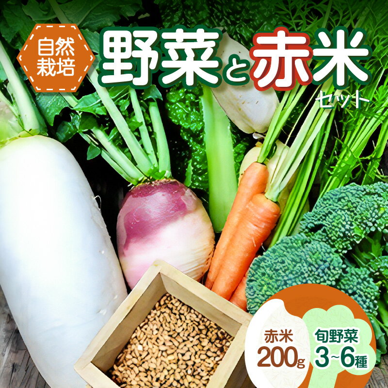 【ふるさと納税】《レビューキャンペーン》＜京都産＞野菜と赤米のセット 旬の野菜 3〜6種類 玄米