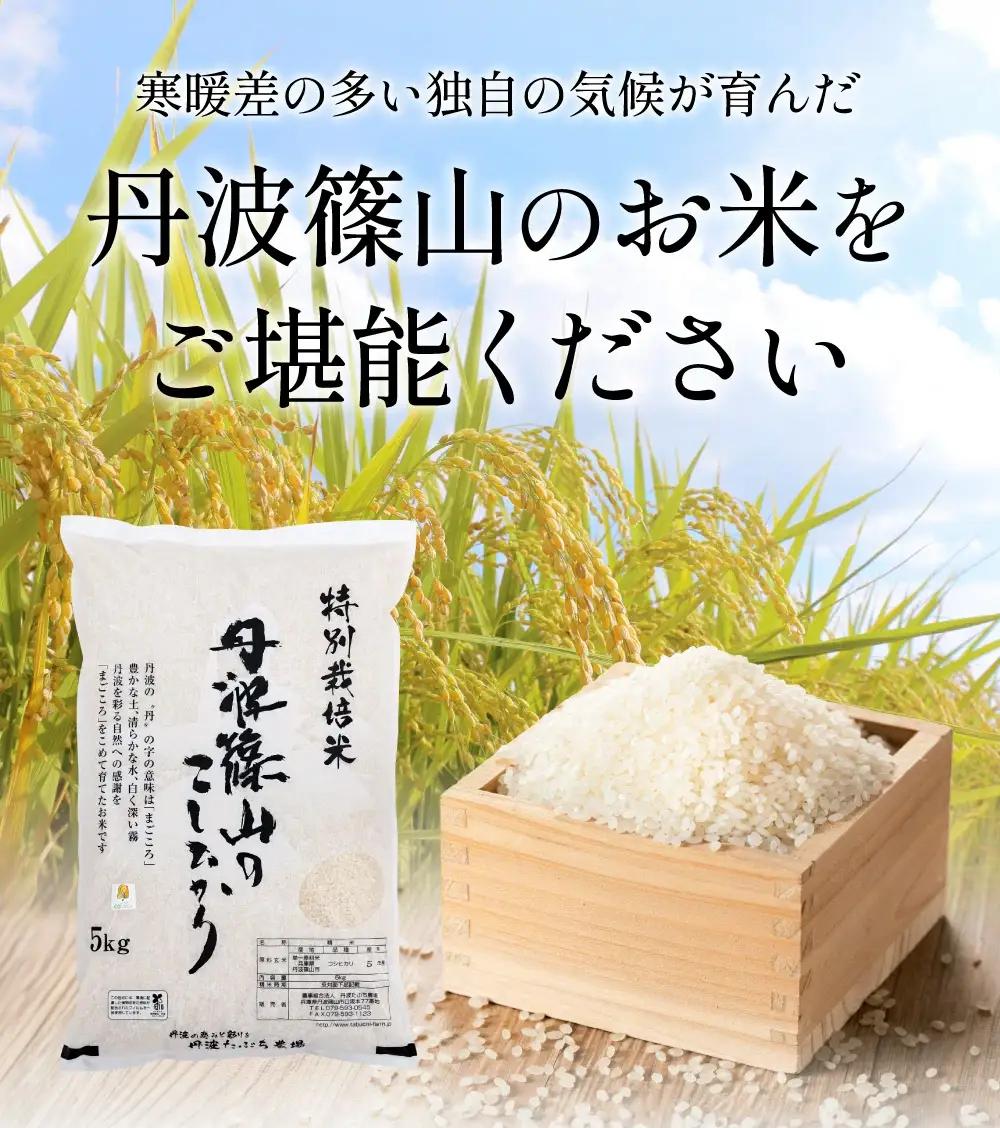 総合2位獲得！〈スピード出荷〉減農薬 特A コシヒカリ 5kg 丹波篠山産 特別栽培米 こしひかり