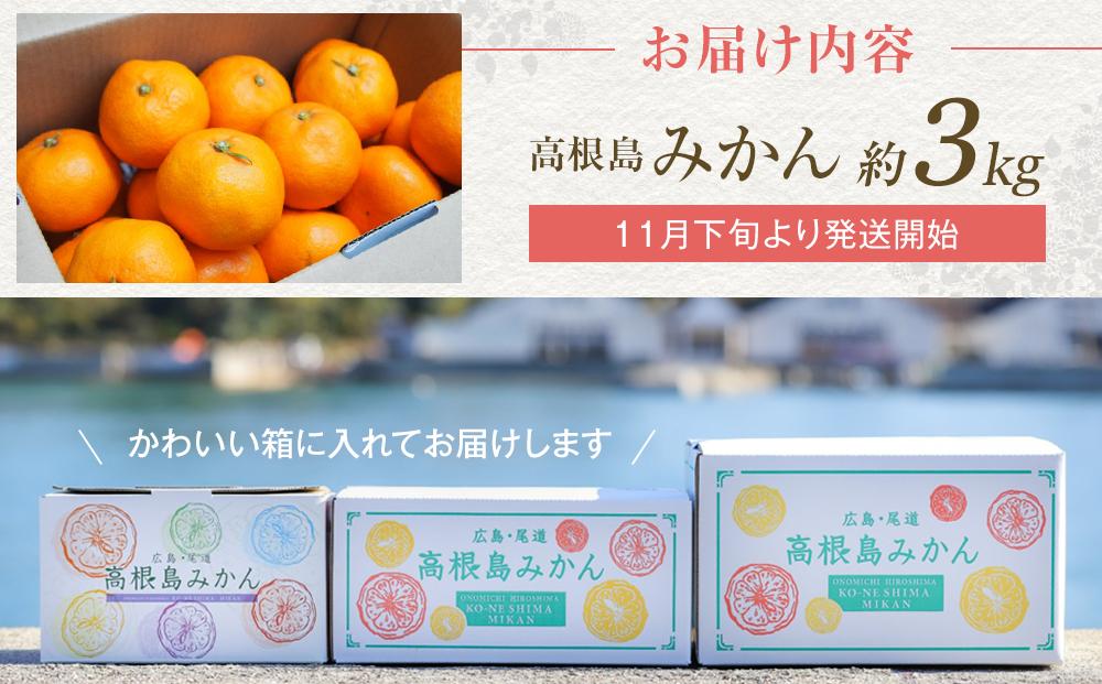 こだわり栽培　高根島みかん 3kg ＜2025年11月下旬より発送開始＞【広島県尾道市 瀬戸田　柑橘 フルーツ 果物】