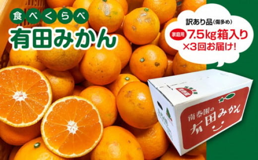 
【定期便】【みかん三昧・訳ありコース】有田みかん・食べくらべ３種（各約7.5kg）| フルーツ 果物 蜜柑 ミカン オレンジ 有田産 和歌山産 産地直送
※着日指定不可
