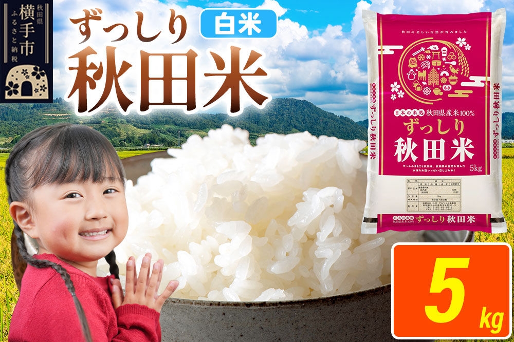 
                  米 秋田県 横手市産 ブレンド米 令和7年産【白米】5kg（5kg×1袋） [米 お米 こめ 白米 精米 ブレンド米 小分け ご飯 ごはん 秋田県産 横手市]
                