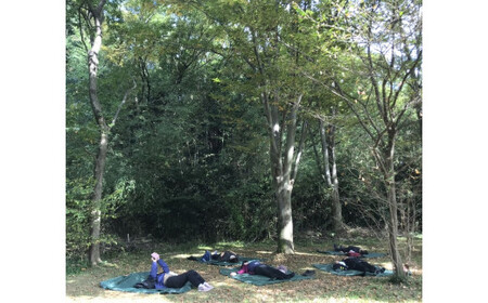 きたもと森林セラピー 体験コース（1～3名）【森 癒し 森林浴 健康 セラピー 体験 リラックス ストレス軽減】