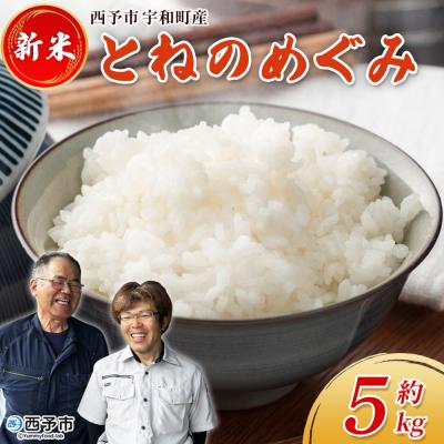 ふるさと納税 西予市 新米&lt;令和7年産 とねのめぐみ 約5kg 西予市宇和町産&gt; 内容量 加茂ファーム