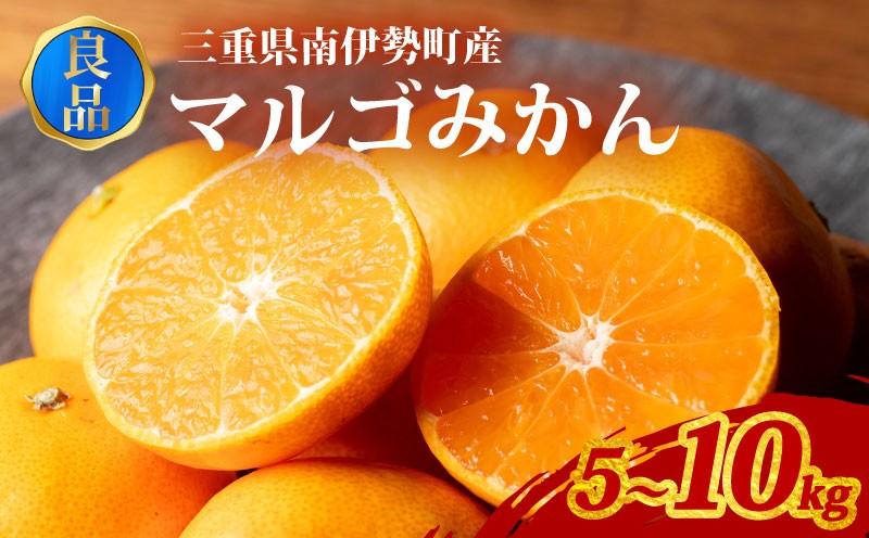 
            訳あり みかん 温州みかん 約5～10kg 良品 家庭用 期間限定 柑橘 蜜柑 mikan フルーツ 果物 くだもの 傷 ふるさと納税訳あり 国産 ブランド 三重県 伊勢 志摩 南伊勢町 マルゴみかん JA伊勢 10000円 1万円
          