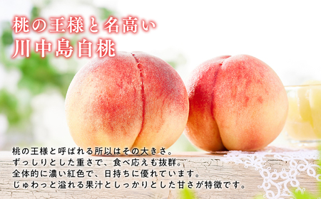 ≪8月下旬～9月中旬発送予定≫ 津軽の桃 川中島白桃 約5kg 秀品 フルーツ 果物 桃 もも モモ 白桃 ピーチ 青森県 平川市 平川市産 川中島 光センサー 贈答 お取り寄せ デザート 先行予約