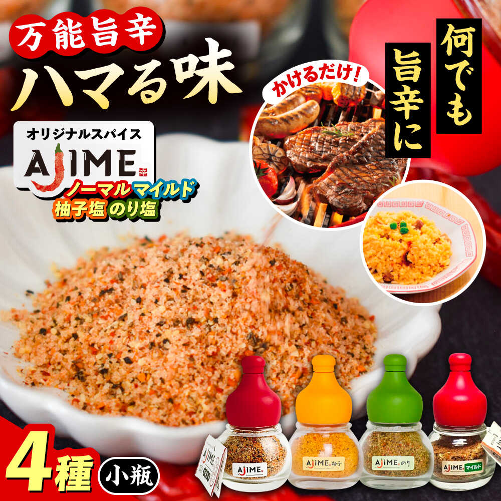 【ふるさと納税】LGASIA（ルガシア）オリジナルスパイスAJIME 4種セット（ノーマル・柚子塩・のり塩・マイルド） / アウトドア キャンプ スパイス 調味料 料理 手作り 調合 香り 自家製 作り方 詰め合わせ バーベキュー BBQ 焼肉 隠し味 /恵那市/MAC[AUDM042]