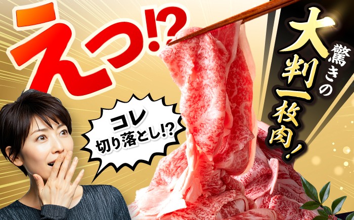 長崎和牛 切り落とし 大判