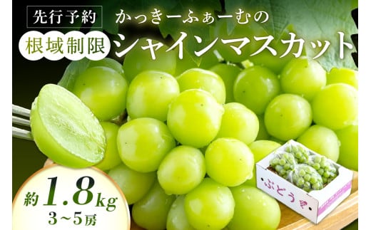 【先行予約】根域制限シャインマスカット 約1.8kg 3～5房《9月中旬頃から発送》 果物 シャインマスカット 先行予約 【183_1874】