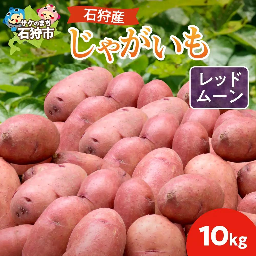 石狩産じゃがいも（レッドムーン） 10kg【9月発送】｜ ふるさと納税 北海道産 じゃがいも 野菜 北海道 石狩市