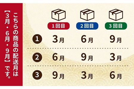【全3回定期便】五島蒲鉾詰め合わせBセット かまぼこ すり身 練り物 天ぷら セット おつまみ 五島市/浜口水産 [PAI015]