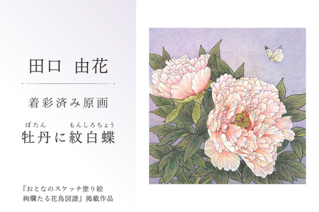 田口由花　着彩済み原画「牡丹に紋白蝶（ぼたんにもんしろちょう）」（『おとなのスケッチ塗り絵　絢爛たる花鳥図譜』掲載作品）【0109-002-4】色鉛筆画 日本画 絵画 ｲﾝﾃﾘｱ 原画 芸術品 美術品