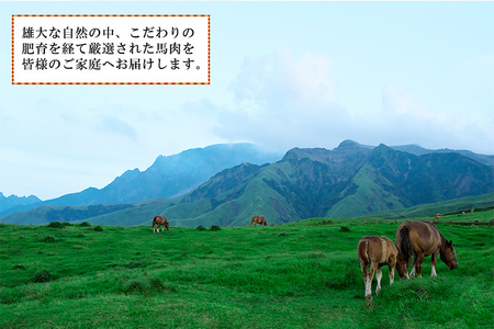 【トモヨシ】純国産 馬刺し 4種 上赤身 霜降り 馬ユッケ 馬レバー 各100g 計400g 希少部位 定番 熊本名物 国内肥育 熊本と畜 贈り物 贈答 ギフト 急速冷凍 小分け 真空パック 鮮度を保