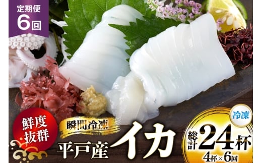 海鮮 魚介 イカ 4杯 1パック（冷凍） 6回 定期便 [舘浦漁業 長崎県 平戸市 hr42bgy420359] おつまみ 新鮮 刺身 瞬間冷凍 冷凍 コリコリ 直送 冷凍 個包装 真空パック