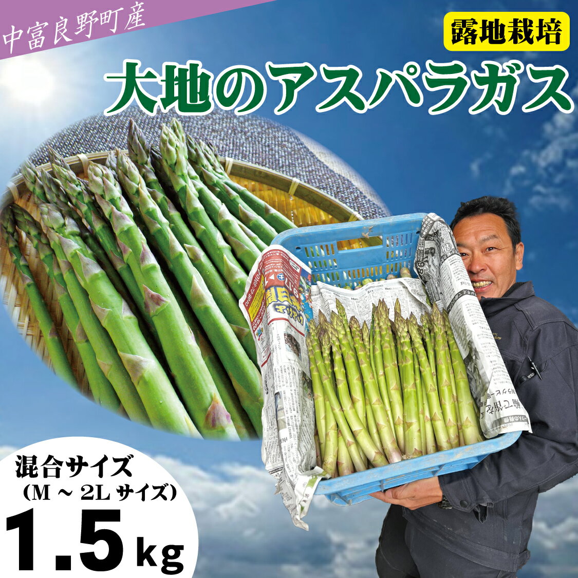 【ふるさと納税】【2026年発送】【中富良野町寺坂農園】大地のアスパラガス（1.5kg）